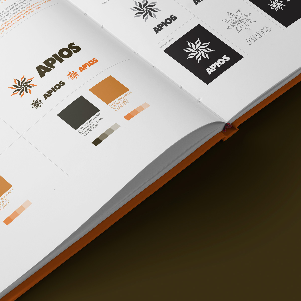 apios-brand-book1